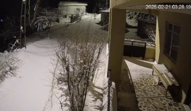 Aç kalan yaban hayvanları köy indi