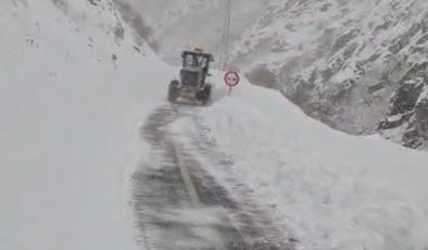 Kulp-Muş yolu, günler süren kar esaretinin ardından ulaşıma açıldı