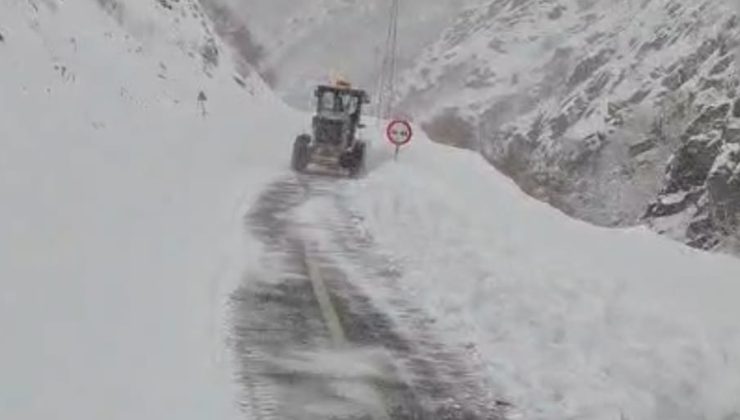 Kulp-Muş yolu, günler süren kar esaretinin ardından ulaşıma açıldı