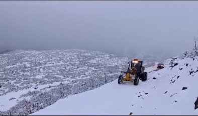 Kulp ve Hani’de karla kapanan yollar ekiplerce ulaşıma açıldı