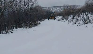Kulp’ta beklenen kar yağışı başladı: İlçe beyaza büründü