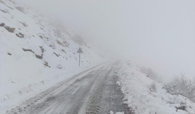 Kulp’ta uzun süren kuraklığın ardından yağışlar başladı, çiftçilerin yüzü güldü