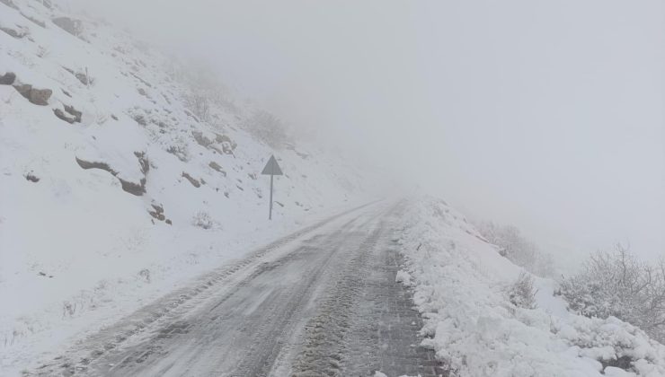 Kulp’ta uzun süren kuraklığın ardından yağışlar başladı, çiftçilerin yüzü güldü
