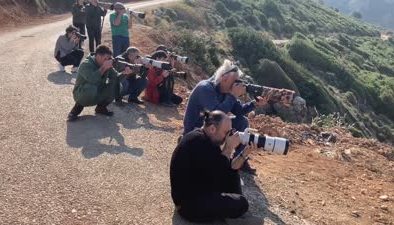 Kuş gözlemcisi genç, Samandağ’da nadir bir türü görüntüledi