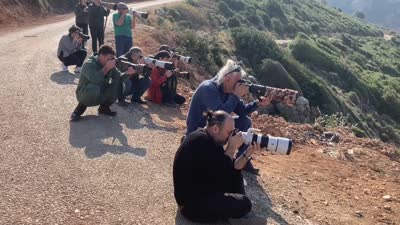 Kuş gözlemcisi genç, Samandağ’da nadir bir türü görüntüledi