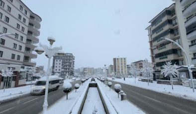 Malatya’da kar etkisini artırdı, yollar beyaza büründü
