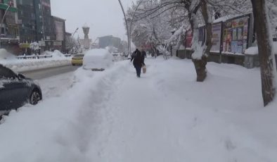 Muş’ta kar yağışı etkisini sürdürüyor, 303 köy yolu kapalı