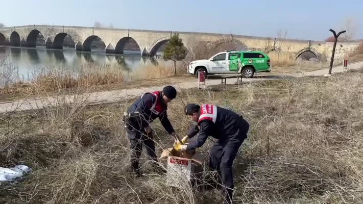 Muş’ta uçmayan balaban bulundu, tedavi süreci başladı