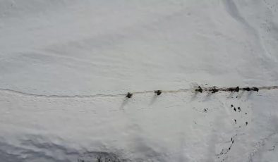 Tunceli’de patlayıcıyla kaçak kazı yapan 5 kişi yakalandı