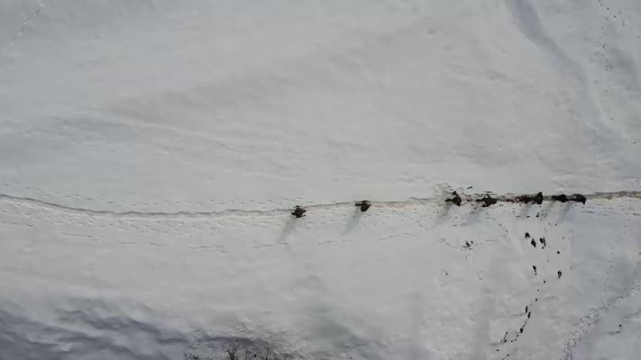 Tunceli’de patlayıcıyla kaçak kazı yapan 5 kişi yakalandı