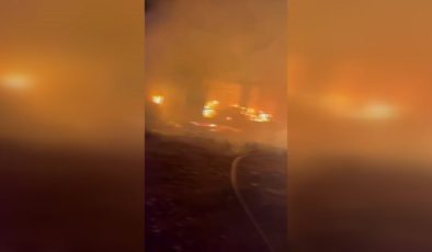 Prefabrik evde çıkan yangında dede öldü, 4 kişi yaralandı