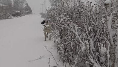 Doğu Anadolu’da dondurucu soğuklar, kar kalınlığı 30 cm’ye ulaştı