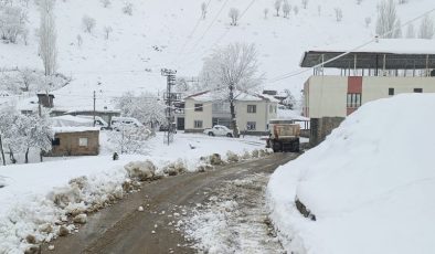 Siirt, Batman, Şırnak ve Bingöl’de kar nedeniyle 559 yerleşim yerine ulaşım sağlanamıyor