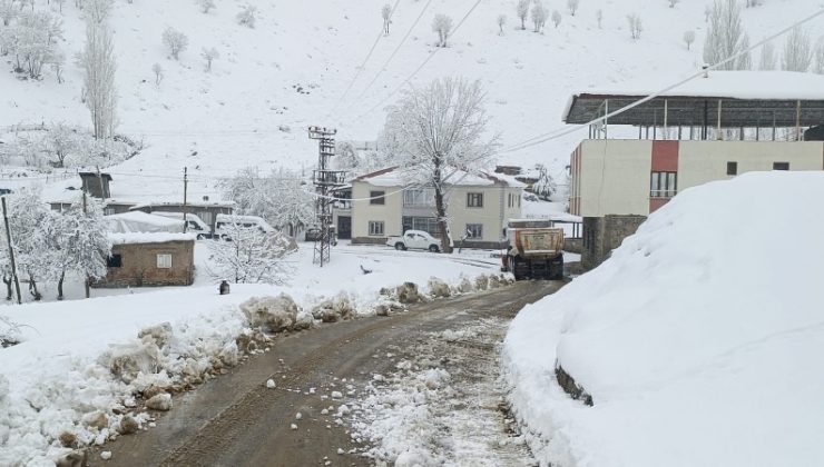 Siirt, Batman, Şırnak ve Bingöl’de kar nedeniyle 559 yerleşim yerine ulaşım sağlanamıyor