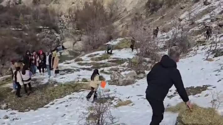 Munzur Üniversitesi öğrencileri, yaban hayvanları için seferber oldu