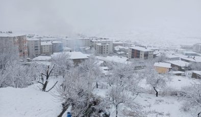 Kulp’ta yoğun kar yağışı nedeniyle okullara kar tatili