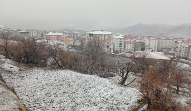 Kulp’ta kar yağışı etkili oldu, yüksek kesimler beyaza büründü