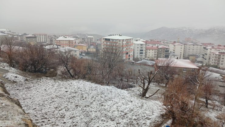 Kulp’ta kar yağışı etkili oldu, yüksek kesimler beyaza büründü