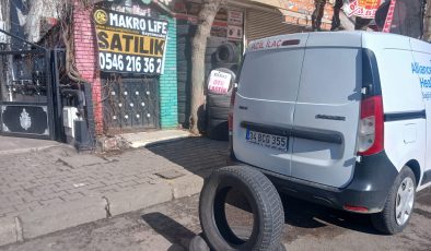 Soğuk hava ve buzlanma onların işlerine yaradı