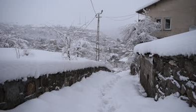 Yoğun kar yağışı Bitlis’te hayatı olumsuz etkiledi