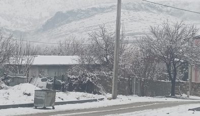 Lice’de kar yağışı etkisini artırdı, İlçe beyaza büründü