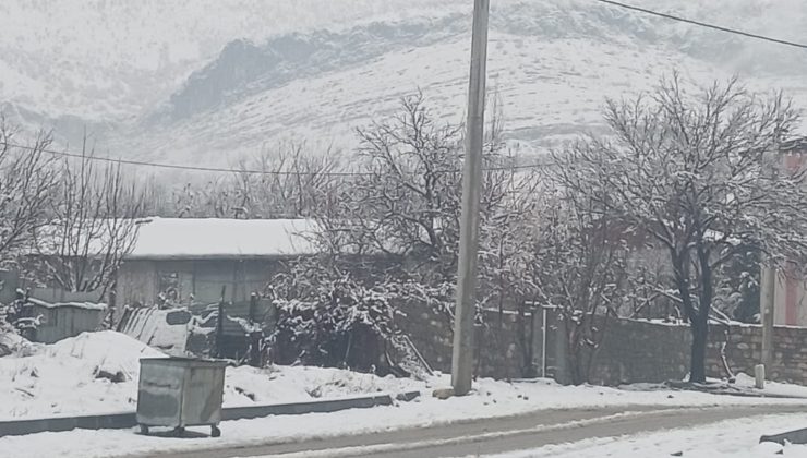 Lice’de kar yağışı etkisini artırdı, İlçe beyaza büründü