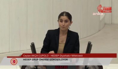 Diyarbakır’daki Tekstil Krizi Meclis Gündeminde