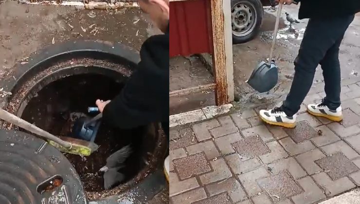 Diyarbakır’da logara düşen güvercini esnaf kurtardı