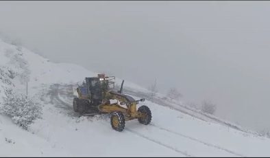 Kulp ve Hani ilçelerinde Kar yağışıyla kapanan yollar ulaşıma açıldı
