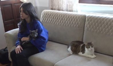 Nurgül hemşire sahiplendiği hasta ve engelli 5 kediye evinde bakıyor