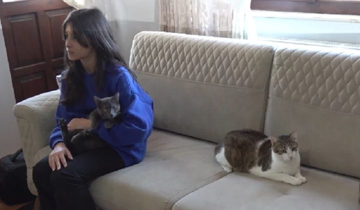 Nurgül hemşire sahiplendiği hasta ve engelli 5 kediye evinde bakıyor