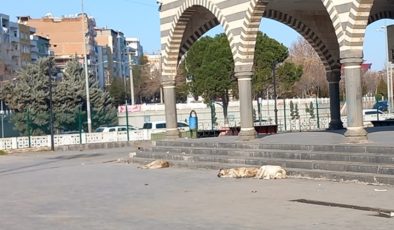 Bakanlık Yazı Gönderdi Vatandaşlar Umutlandı