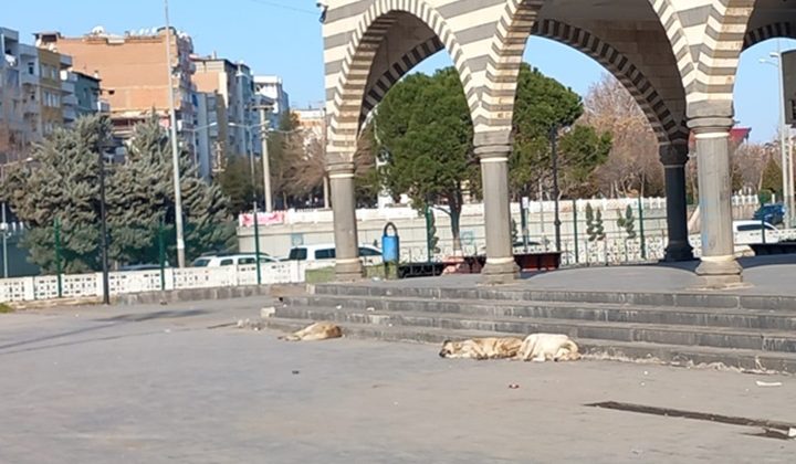 Bakanlık Yazı Gönderdi Vatandaşlar Umutlandı