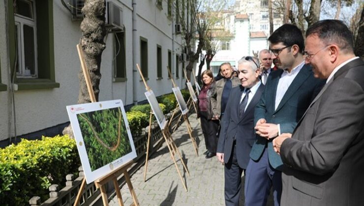 14. Tarım Orman ve İnsan sergisi Diyarbakır’da ziyaretçilerini ağırlıyor