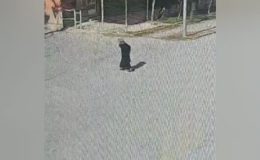 3 gündür kayıp olarak aranan 80 yaşındaki kadın baygın bulundu