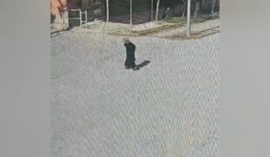 3 gündür kayıp olarak aranan 80 yaşındaki kadın baygın bulundu