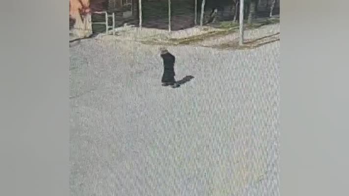 3 gündür kayıp olarak aranan 80 yaşındaki kadın baygın bulundu