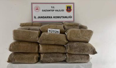 4 ilçede eş zamanlı operasyonla 38 kaçakçılık şüphelisi yakalandı