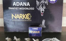 Adana’da uyuşturucu ele geçirilen kamyonetin sürücüsü tutuklandı