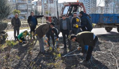 Bağlar Belediyesi Gül Bahçesi’nde Budama Çalışması Yaptı