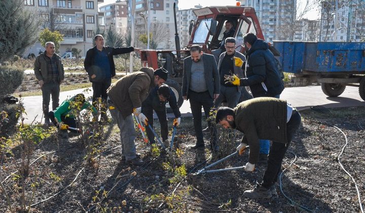 Bağlar Belediyesi Gül Bahçesi’nde Budama Çalışması Yaptı