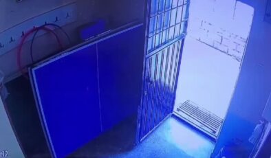 Ders sırasında sınıfa giren atmaca öğretmen tarafından yakalandı
