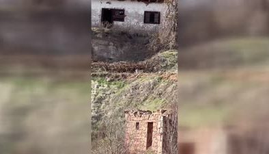 Boyluca köyünde vaşak kameralara yakalandı
