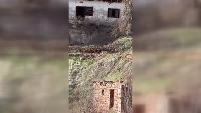 Boyluca köyünde vaşak kameralara yakalandı