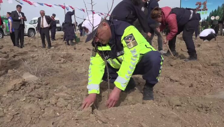 Bin 600 fidan toprakla buluşturuldu
