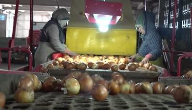 Devlet desteğiyle kurduğu paketleme tesisinde 30 kişiyi istihdam ediyor