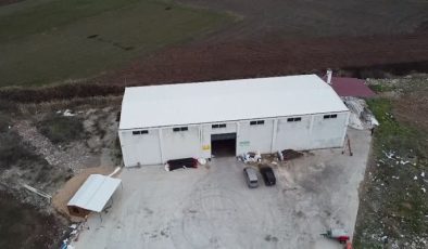 Devlet desteğiyle tesis kuran girişimci yılda 1000 ton ay çekirdeği eliyor