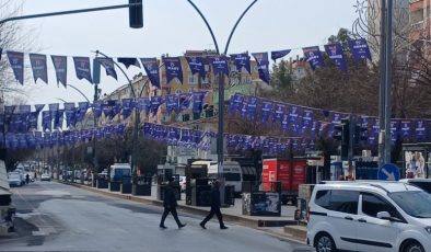 Diyarbakır Büyükşehir Belediyesi’nden ‘Yaşasın 8 Mart’ Bayrakları