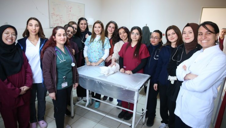 Diyarbakır’da hayvanların sağlığı kadın veteriner hekimlere emanet