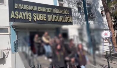 Diyarbakır’daki nevruz etkinliğinde hırsızlık yapan 9 kişi tutuklandı